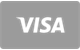 Visa kort flat design betalingsikon